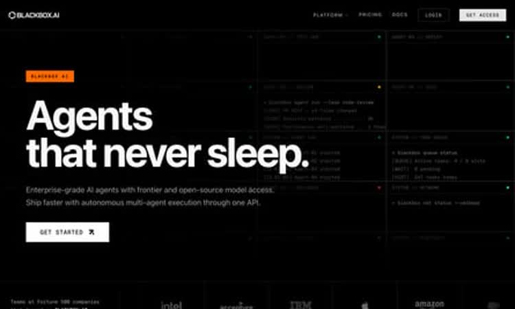Blackbox AI